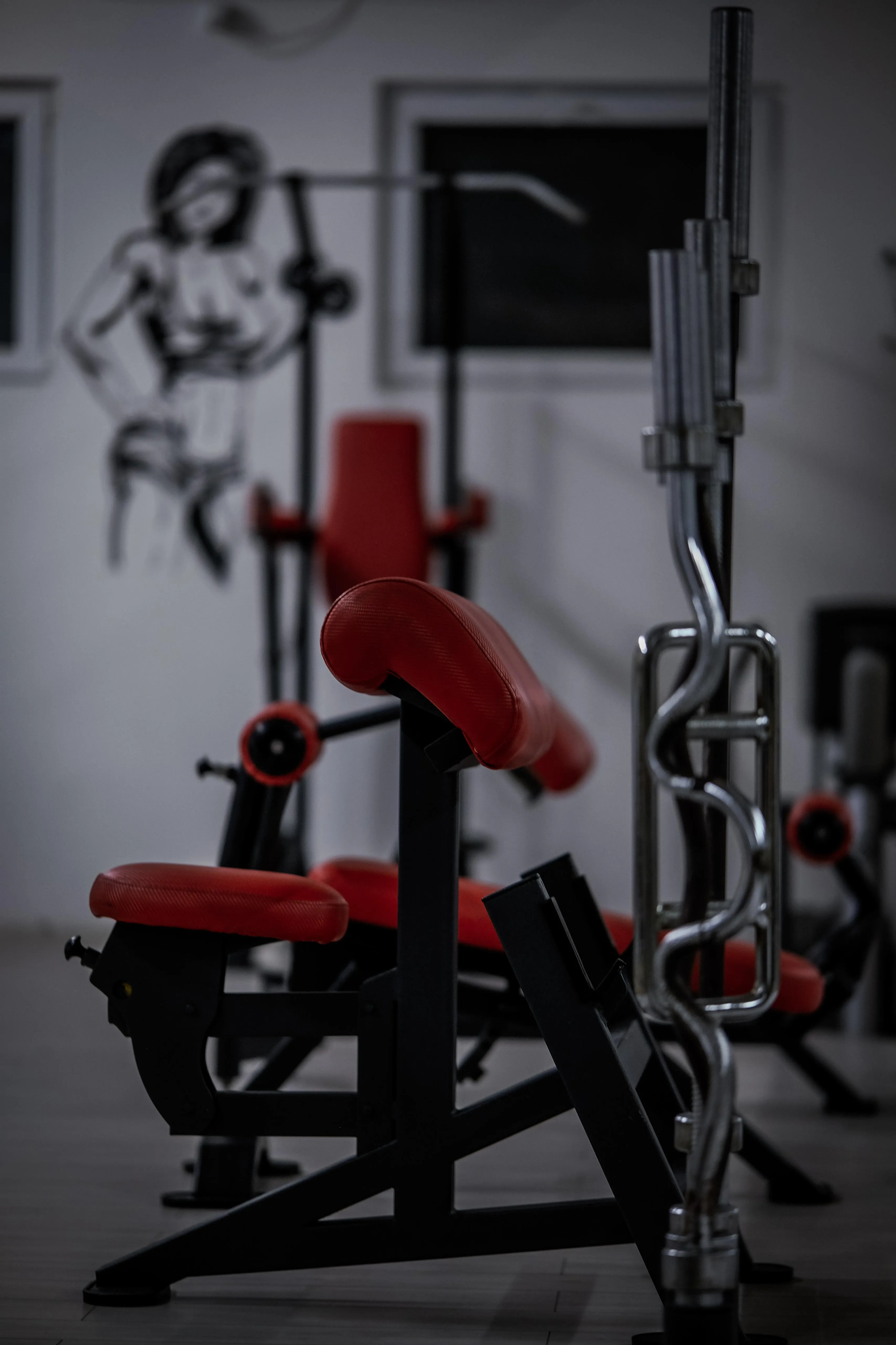 Gym mural with weights in vicinity,